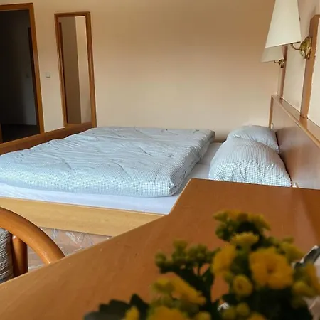 Hotel Neue Muehle Westhausen (Gotha)